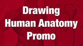 Figure Drawing Tutorial  Drawing Human Anatomy Promo [upl. by Milurd]