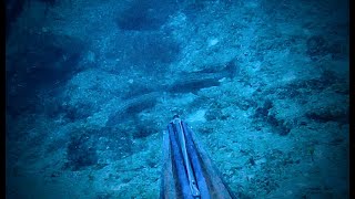 The offshore rock with the big golden grouper  Cyclades Spearfishing [upl. by Kelwunn543]