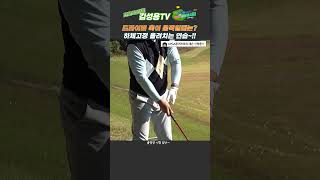 KPGA 1부투어프로가 말아주는 드라이버에서 알아야 할 팁 푸쉬2가지 연습방법ㅣ골프 몸통스윙 KPGA 투어프로 김성용골프골프레슨드라이버KPGA푸쉬일관된스윙꿀팁 [upl. by Luttrell]