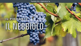 Conoscere il Nebbiolo  Tannico Flying School [upl. by Melgar552]