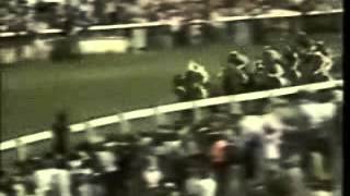 Epsom Derby 1977 and the great Lester Piggott on The Minstrel [upl. by Deery]