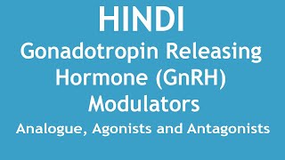 Gonadotropin Releasing Hormone GnRH Modulators  Analogue Agonists and Antagonists HINDI [upl. by Irmo331]