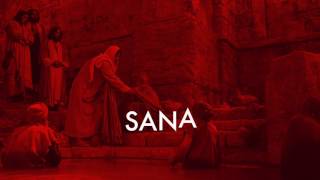 Any Puello  Sana Video Lyric [upl. by Oniotna]