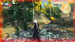 The Witcher 3 Wild Hunt  On Deaths Bed  Celandine amp Drowner Brain Locations [upl. by Arriek]