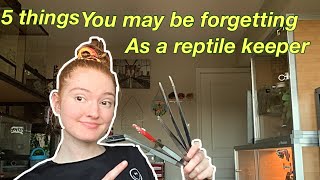 5 things you may be forgetting as a reptile keeper [upl. by Hakceber518]