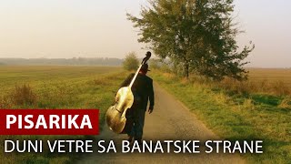 Pisarika  Duni Vetre Sa Banatske Strane  Vojvodina Music Official 2015 [upl. by Ardnuaed]