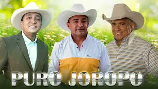 REYNALDO ARMASVITICO CASTILLOJORGE GUERREROPURO JOROPO MIXMERLINRECORD [upl. by Massie]