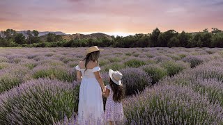 2022 Lavender Festival [upl. by Grewitz]