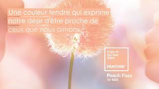 Peach Fuzz la Couleur Pantone 2024 [upl. by Eeima]