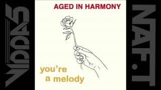 AGED IN HARMONY youre a melody extended disco [upl. by Serena]