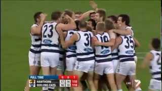 Hawthorn v Geelong  Final 2 minutes Round 19 2012  AFL [upl. by Nyladnarb777]