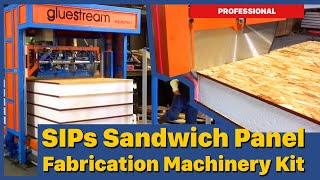 Professional SIPs Sandwich Panel Fabrication Machinery Kit [upl. by Ierbua]