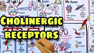 Nicotinic vs Muscarinic Receptors [upl. by Nerte]