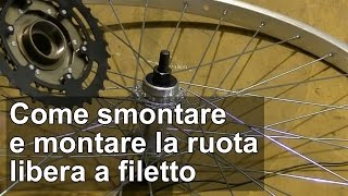 Come smontare e montare la ruota libera a filetto della bici TUTORIAL [upl. by Nandor]