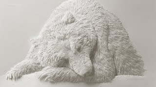 Believe it or not these animals are made entirely out of paper [upl. by Zeena]