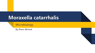 Microbiology  Moraxella Catarrhalis [upl. by Atteuqahs]