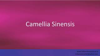 Pronunciation of the words quotCamellia Sinensisquot [upl. by Nylorahs377]