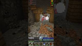 Why are there so many silverfish minecraft rlcraft [upl. by Lindie]