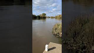 River Trent [upl. by Garrek]