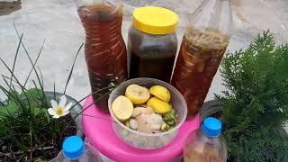 780 Home made BioEnzyme for gardening घरेलू कचरे से Gardening के लिए Enzyme बनाएँ Hindi Urdu 1 [upl. by Dickson682]