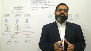 Parthenogenesis Urdu Hindi medium profmasoodfuzailHaploid and Diploid Parthenogenesis [upl. by Kanal]