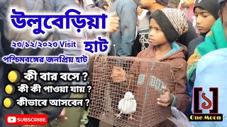 Uluberia pet market  Current Exotic Pigeons Price Update at Uluberia pet market 2312 2023 Visit [upl. by Haramat567]