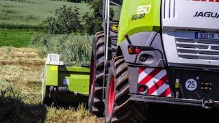 Claas Jaguar 950  Ensilage de Méteil [upl. by O'Dell346]