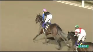 佐賀記念2024 ノットゥルノ 武豊騎手優勝 [upl. by Kennett]