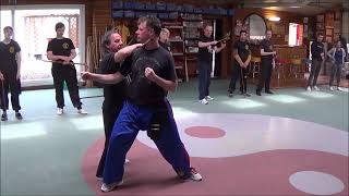 Selfdefence with Bodhidharma Cane on workshop GM Walter Toch live [upl. by Mcwherter]