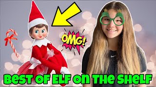 The Best Of The Elf On The Shelf My Elf Is Pregnant Gender Reveal [upl. by Huba]