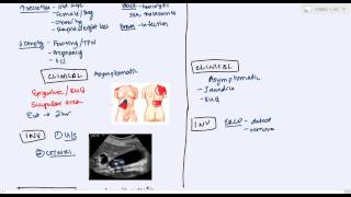 Gallbladder Diseases cholelithiasis choledecholithiasis cholecystitis cholangitis [upl. by Morgun418]