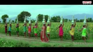 Ranam Video Songs  Varevva Song  Gopichand Kamna Jethmalani [upl. by Harad]