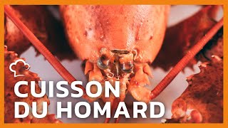 Comment cuire le homard 🦞  FoodCuisine [upl. by Eanert]