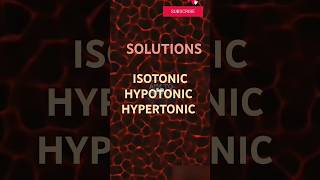 Types of solution isotonic hypotonic hypertonic solutions typesofsolution shorts shortsvideo [upl. by Apicella834]