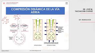 VILLAMEDIC  Fisiología respiratoria Mecánica de la respiración [upl. by Kirby116]