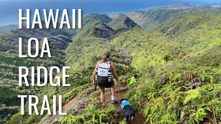 Hiking Hawaii Loa Ridge Trail Honolulu Oahu Hawaii  Info [upl. by Breed473]