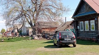 Жизнь в деревнеПосадка томатовПечень говяжья рецептПосадка клубники весной [upl. by Llerrahs919]