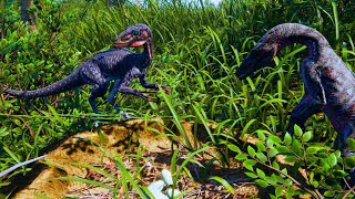 The Troodon Survival Experience  the isle evrima [upl. by Pietro]