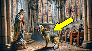 Un Chien Narrête Pas d’Aboyer Contre la Statue de Marie en Pleine Messe Tout le Monde Devient Pâle [upl. by Elesig393]