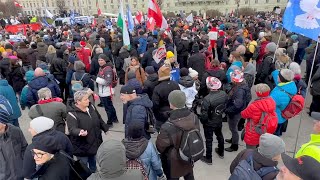 Demo Wien 30112024  Für Frieden amp Neutralität [upl. by Immot]