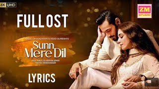 Sun Mere Dil Full OST Lyrics Rahat Fateh Ali Khan [upl. by Giarla]