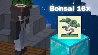 Pack Bonsai 16x  Bedwar 3fmc [upl. by Akayas]