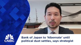 Bank of Japan to hibernate until political dust settles says strategist [upl. by Roper]