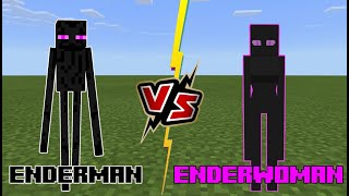 Enderman VS Enderwoman Minecraft shorts30 [upl. by Aaren]