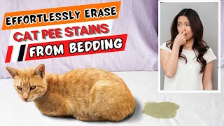 How To Get Cat Pee Stains Out Of Bedding  Expert Tips That Works Great [upl. by Senhauser]