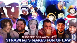 Strawhats Makes Fun Of Law  Chopper On Laws Head  Reaction Mashup [upl. by Googins]