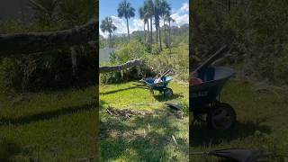 Tree removal and a revived garden bed after Hurricane Milton🌴gardening treeremoval [upl. by Gwyn]