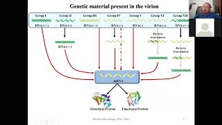 Adenoviruses Herpesviruses Poxviruses [upl. by Marnie843]