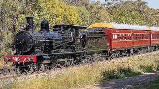 3001 Steam locomotive in action at NSW rail museum  Thirlmere NSW Australia [upl. by Derdlim]