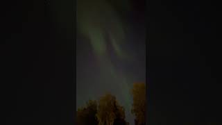 Alaska northern lights sept 17 alaska northernlights [upl. by Lednew]